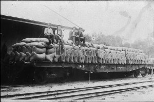 Bags of wheat at Goods Shed on rail truck - Koondrook, ...