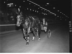 No. 9 wins at the third night of the Interdominion trot...