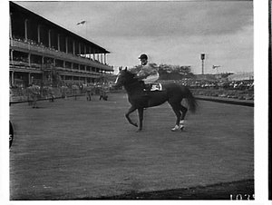 Doncaster race day, 1961, Randwick