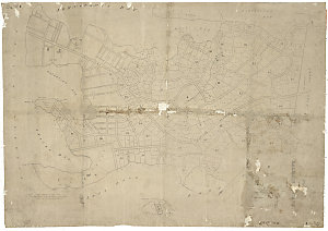 Plan of Balmain Estate 1852 [cartographic material] / C...