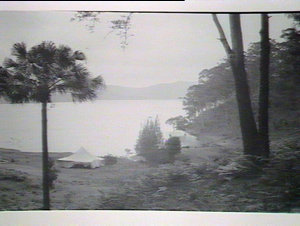(MM) Tent and palm tree by water