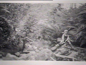 (MM) Boy on a rock, possibly in the Blue Mountains