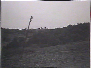 Land slipping in orchards at Kurrajong
