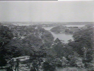 View of Lane Cove River from Mr Welsh's House