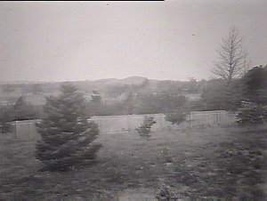 View from the orchard looking towards the Gib, Bowral
