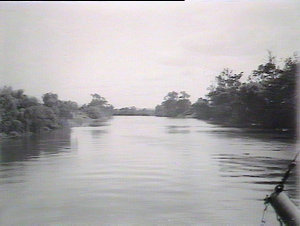 On the Paterson River