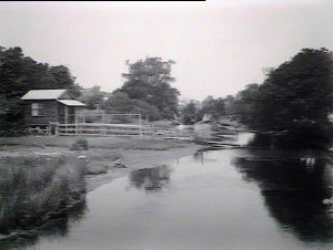 The Creek at Forster
