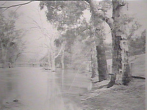 Main canal, Narrandera