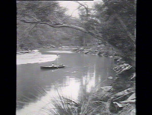 In Gibberagong Creek, looking up creek from station