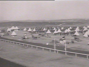Bushmen's Contingent camp at Kensington Racecourse