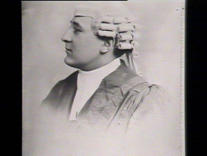 Mr Hope Johnston in barristers wig and gown