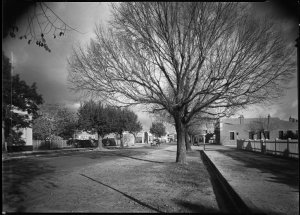 File 09: Albury townscapes, 1938 / photographed by Max ...