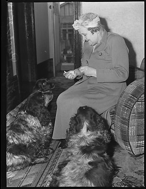 Mrs Sheppeard, champion cook, Lithgow, 25 August 1950 /...