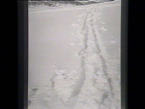 Tracks through the snow near Mount Kosciusko