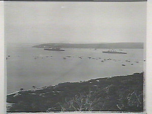 Arrival of the Australian fleet