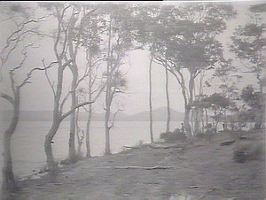 Head of Wallis Lake, Forster