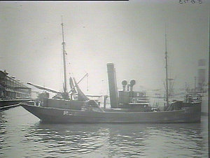 Trawler P.T. 7, built at Walsh Island