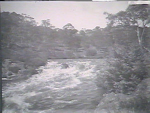Thredbo River showing rapids