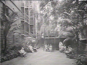 In the garden of the Blind Institute