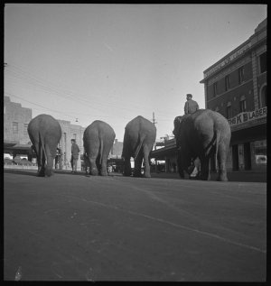File 01: Main Street, Hurstville, 1930s / photographed ...