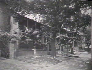 Richmond Terrace, Domain