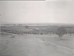 Panorama of Soldiers Settlement, Leeton