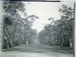 Mt Keira/Wilton Rd at 9 miles