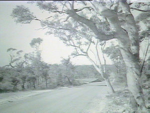 Mt Keira/Wilton Road