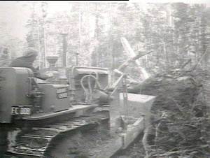 RD7 caterpillar clearing logs & scrub for road
