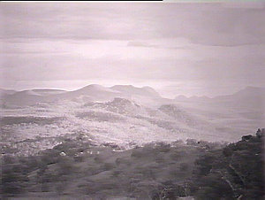 Warrumbungle Range from near Bugaldie