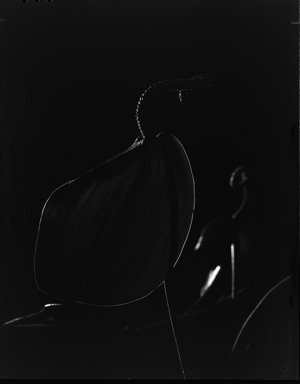 File 23: Anthurium at night, December 1982 / photograph...