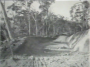 Road scene in Whian Whian Forest, made by Forestry Comm...