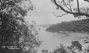 Samuel Wood - postcard photonegatives of Taylors Bay, c...