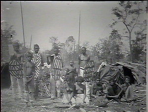 Group of Queensland natives