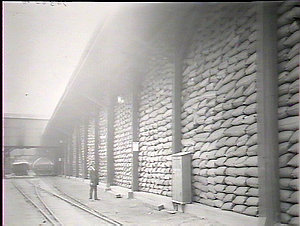 Main wheat shed, Darling Island