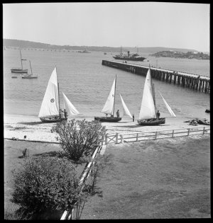 File 20: Sydney, Sailing on harbour, [1930s-1940s] / ph...