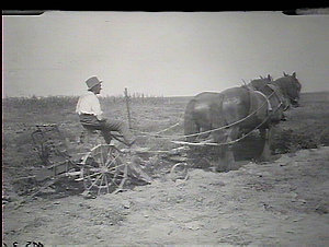 The "Iron Age" potato digger, Hawkesbury Agricultural C...