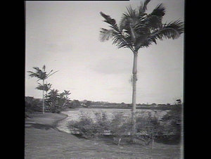 View in the park, Centennial Park