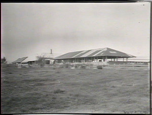 The piggery, Hawkesbury College