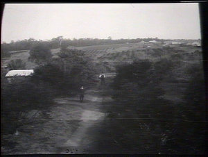 View from the house, Government orchard, Dural