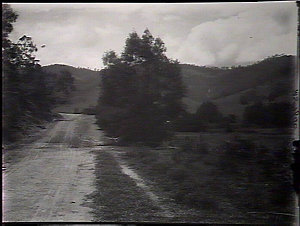 Macquarie Pass, near Albion Park