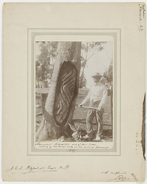 Photographs of Edmund Milne standing next to Aboriginal...