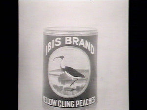 Ibis fruit label on Leeton Cannery tins