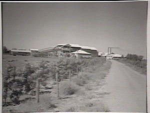 Tancred meat works, Bourke
