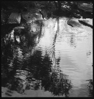File 25: Light on water, [1940s-1970s] / photographed b...