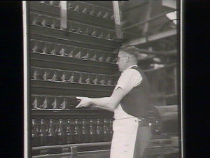 Cleaning bottles, Tooths Brewery