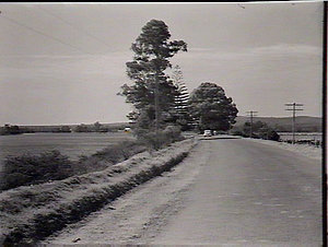 Pacific Highway near 19.75 miles north from Grafton