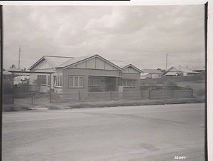 Blacktown District, group of houses seen from road