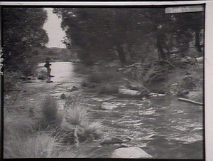 Trout fishing on the Fish River, Oberon