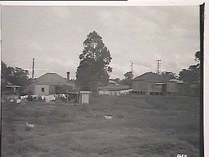 Blacktown District, group of houses showing backyards